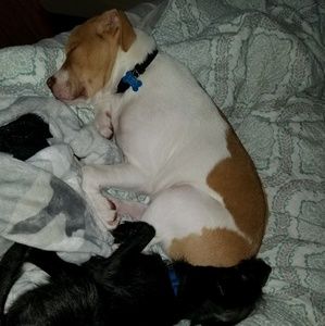 Meet your Posher, Casey